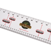 Picture of Master Angler Measurement Decal