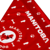 Picture of Adventure Dog Bandana