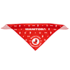 Picture of Adventure Dog Bandana